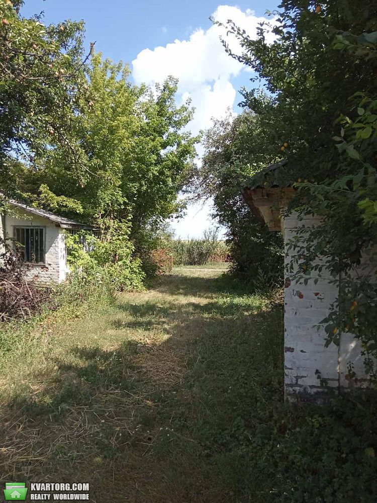 Sell house. Черкассы, с. Тынивка — photo 1