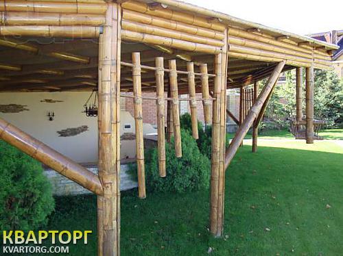 Sell house. Борисполь, Золоче — photo 4