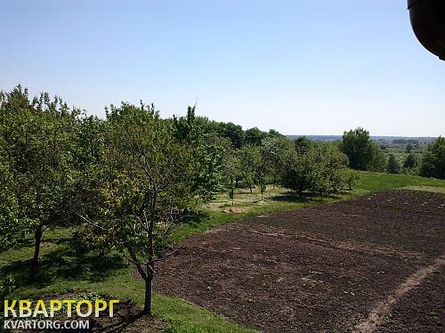 Sell house. Киевская обл., Село Фарбованое — photo 6