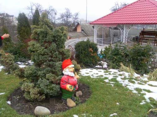 Rent out house. Киев, Купянская — photo 4