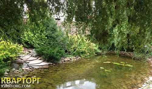 Rent out house. Киевская обл., Софивская Борщаговка — photo 2