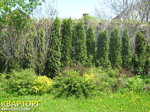 Rent out house. Киевская обл., Пуховка — photo 1