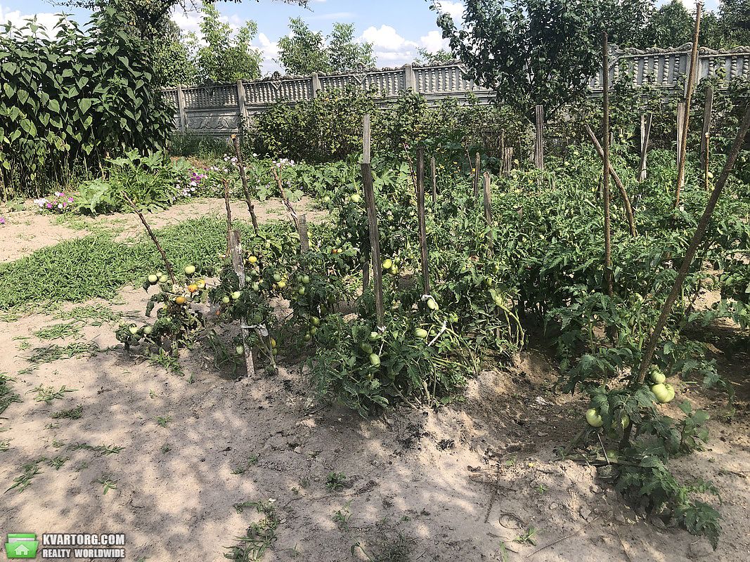 Sell house. Киевская обл.,   Солоника — photo 8