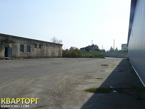 Rent out warehouse. Киевская обл., Белогородка — photo 9