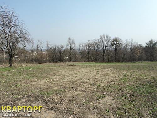 Sell house. Киевская обл., Нещеров — photo 4