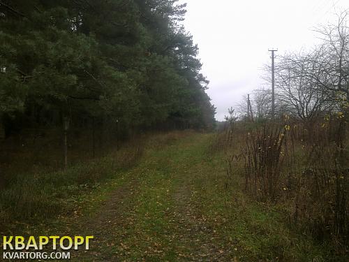 Sell house. Васильков, Кожуховка — photo 5