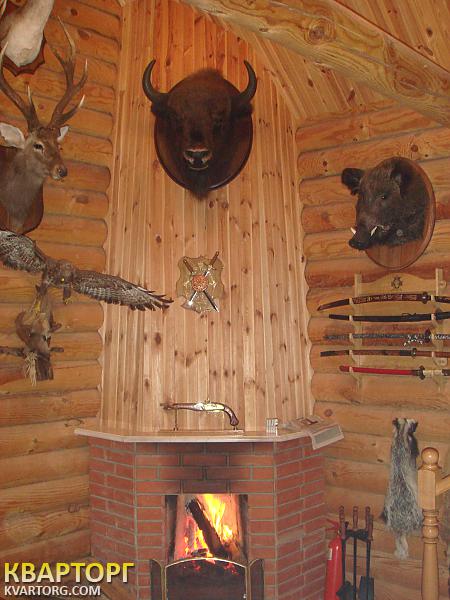Sell house. Киевская обл., село Стайки — photo 1