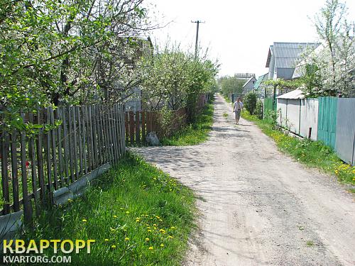Sell house. Киевская обл., Требухов — photo 4