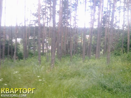 Sell house. Васильков, Малютянка — photo 8