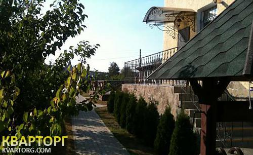 Rent out house. Киевская обл., Николаевка — photo 5