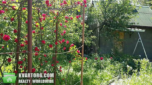 Sell house. Киевская обл., Петрушки — photo 5
