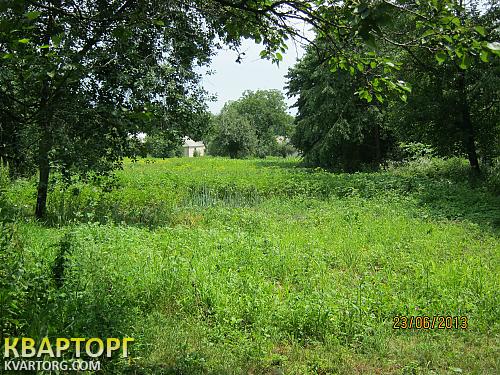 Sell house. Киевская обл., красноармейская — photo 7