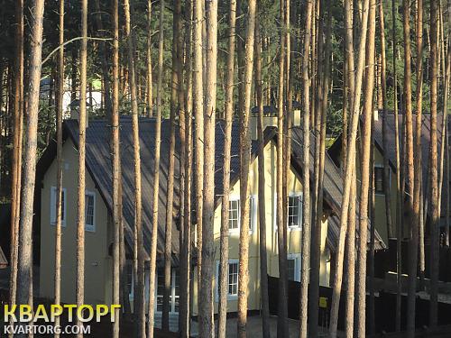 Sell house. Киевская обл., + — photo 1