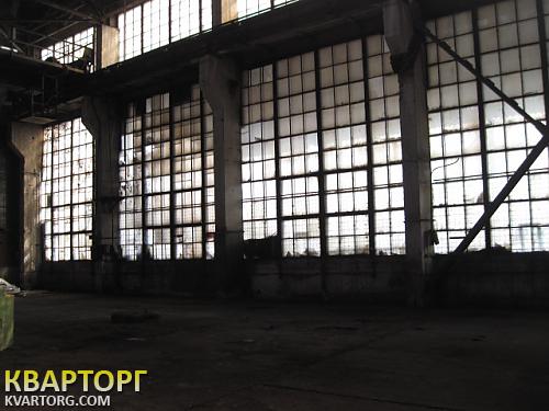 Rent out warehouse. Киев, ул.Алма-Атинской — photo 3