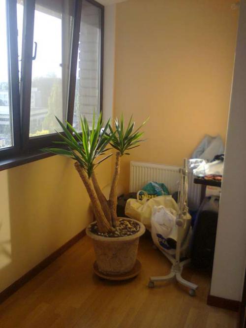Sell 2-room apartment. Киев, Щорса — photo 6
