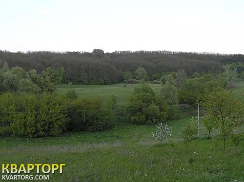 Sell house. Киевская обл., Юшки — photo 4