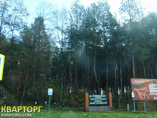 Sell house. Киевская обл., Полевая — photo 7