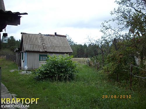 Sell house. Киевская обл., Киевская — photo 10