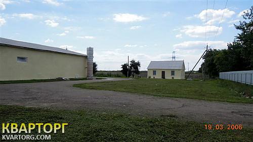 Rent out warehouse. Киевская обл., с.Чернихов — photo 2