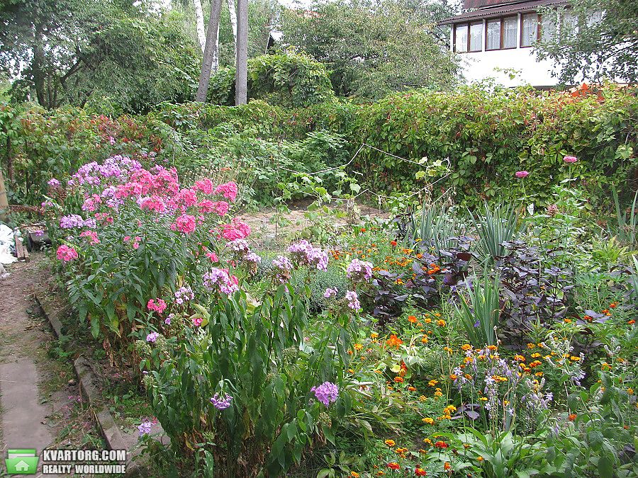 Sell house. Киевская обл., Новоселки — photo 2