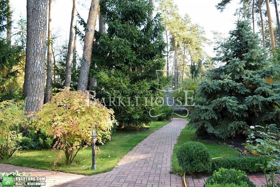 Rent out house. Киевская обл., Романков — photo 9