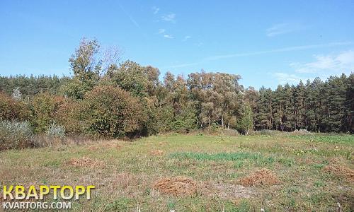 Sell house. Киевская обл., Иванков — photo 3