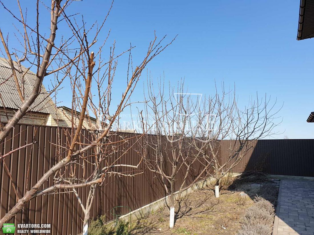 Rent out Townhouse. Киевская обл., новые петровцы — photo 8