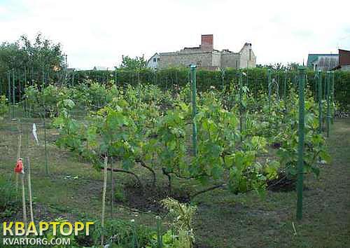 Sell house. Киев, 3-шлюз — photo 3