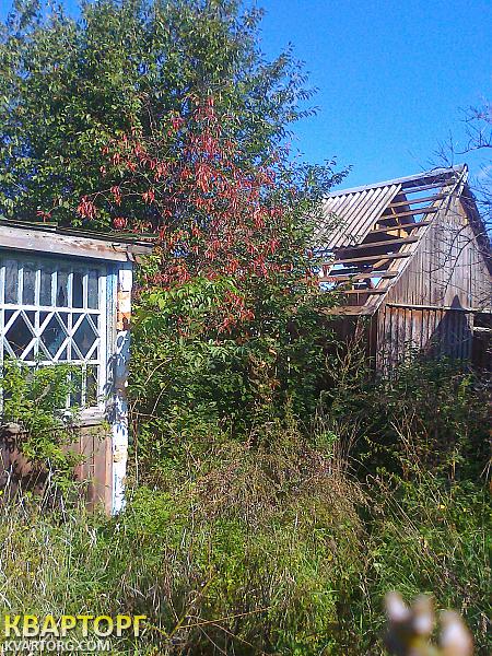Sell house. Киевская обл., Дачная — photo 2