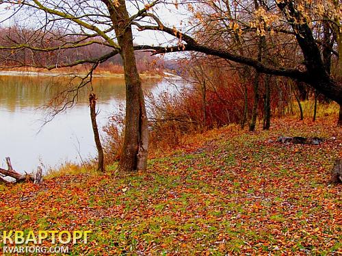 Sell house. Киевская обл., Летки — photo 1