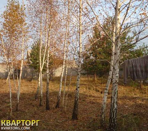 Sell house. Киевская обл., Новые Безрадичи — photo 9