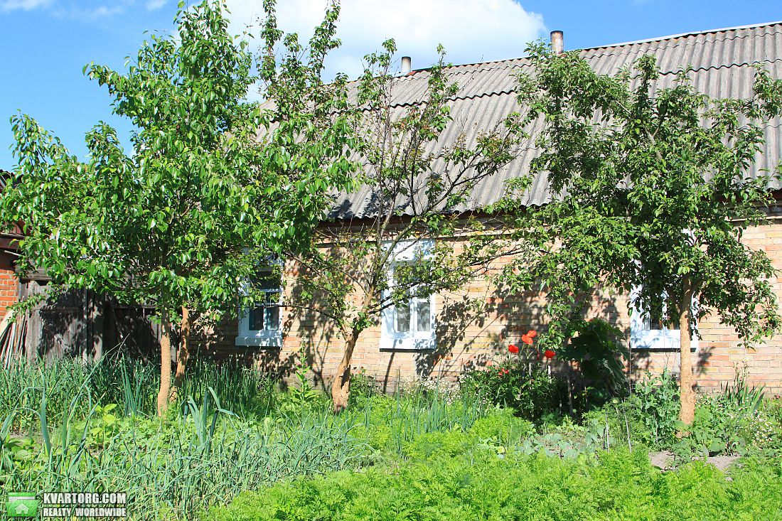 Sell house. Киевская обл.,  Лесная — photo 1