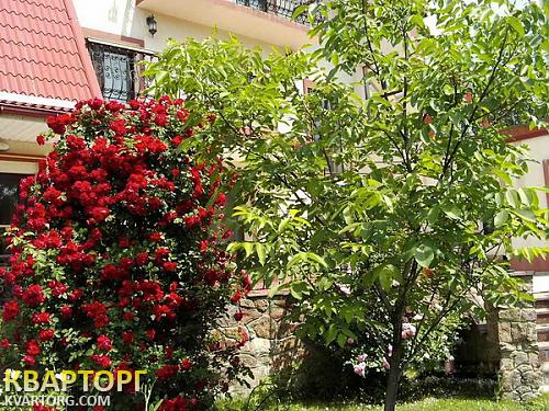 Sell house. Киевская обл., Большая Дамба — photo 7