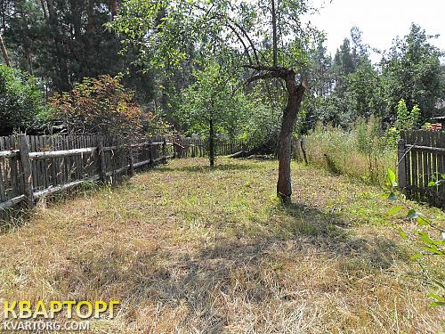 Sell house. Киевская обл., Песковка — photo 3