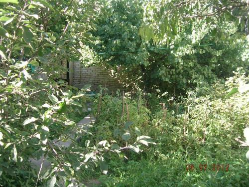 Sell house. Одесса, Дзержинского — photo 3