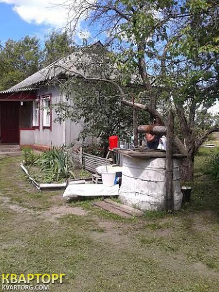 Sell house. Киевская обл., с. Веселиновка — photo 5