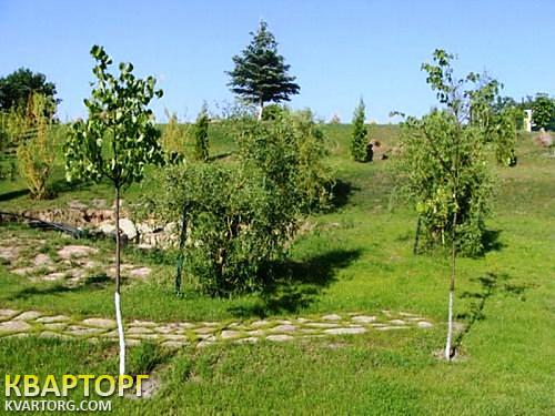 Sell house. Киевская обл., К.-Святошинский р-н — photo 9