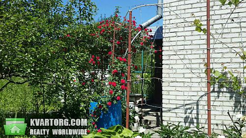 Sell house. Киевская обл., Петрушки — photo 3