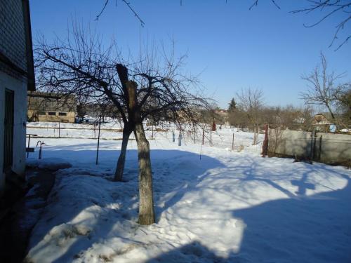 Sell house. Киевская обл., Центральная — photo 1