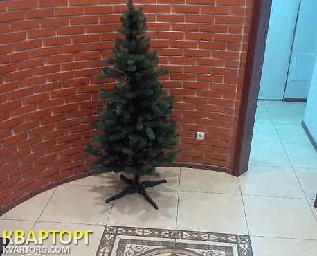 Rent out office. Киев, Дмитриевская — photo 5