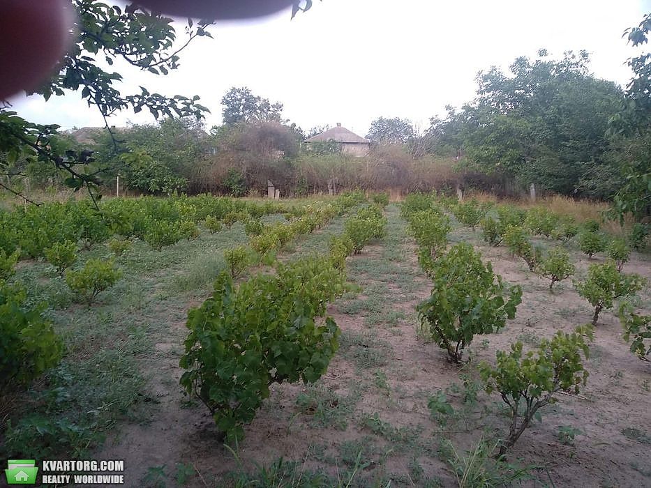 Sell house. Одесса, Болград — photo 8