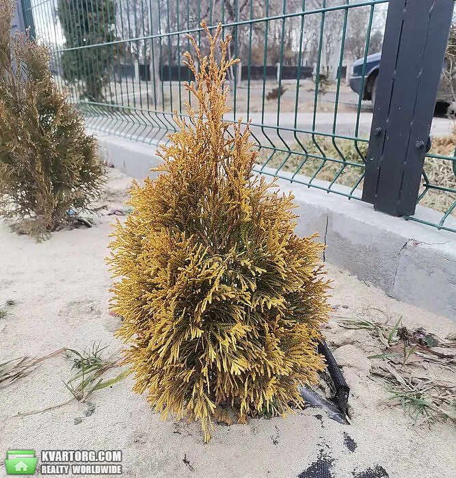 Sell house. Львов, Петлюры — photo 8