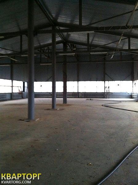 Rent out warehouse. Киев, Бородянский район с. Небрат ул. Гутниченко — photo 5