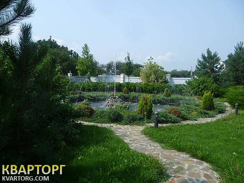 Sell house. Киевская обл., с.Новые Петровцы — photo 2