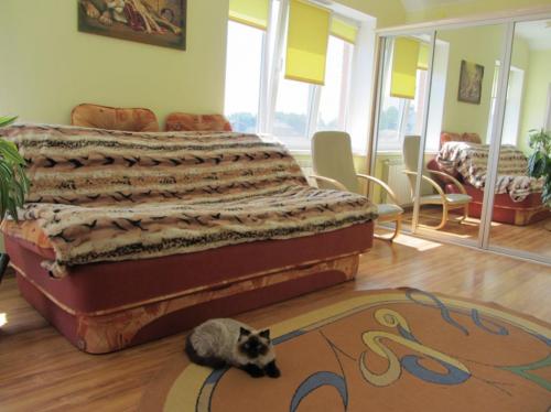 Rent out house. Киевская обл., Полевая — photo 6