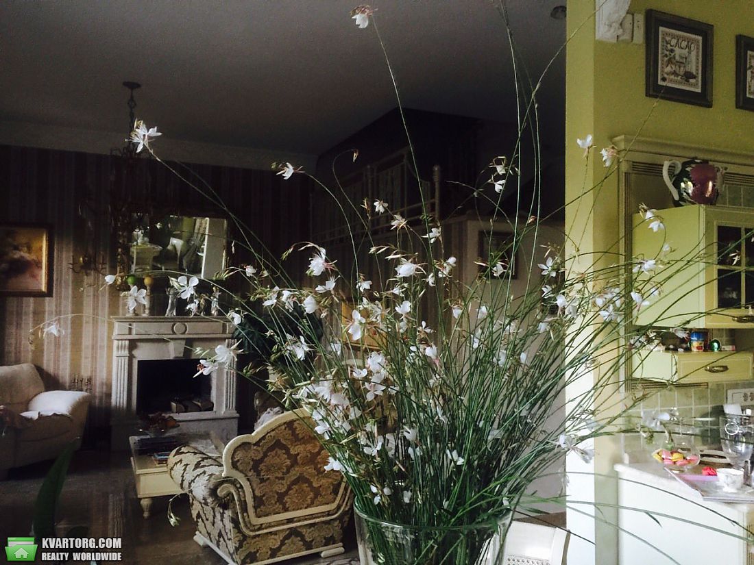 Sell house. Одесса, Ромашковая — photo 2