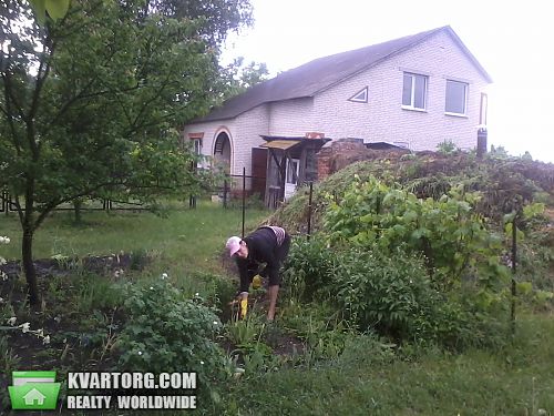 Sell house. Сумы, Заозерна — photo 5
