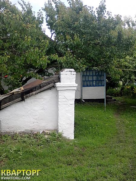 Sell house. Киевская обл., Киевская — photo 9