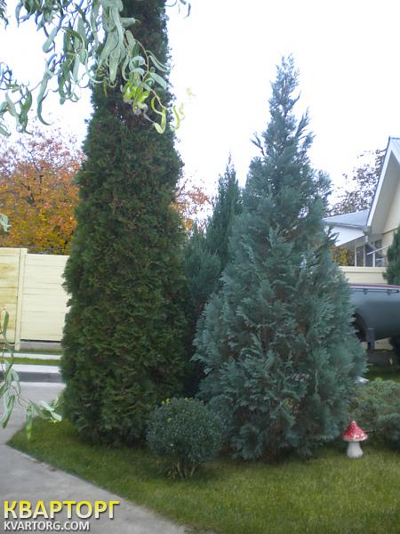 Sell house. Киевская обл., Ирпень — photo 9