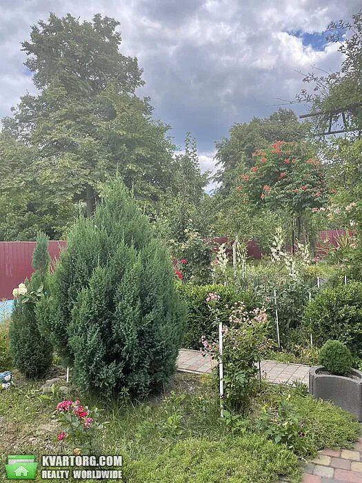 Sell house. Львов, Центральна — photo 6